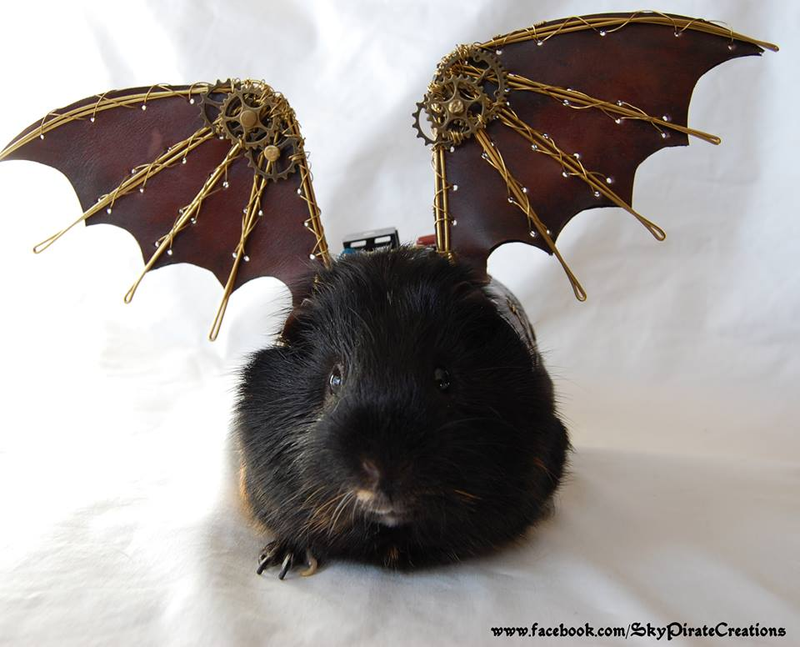Illustration for article titled Every Pet Guinea Pig Needs A Pair Of Leather Steampunk Wings
